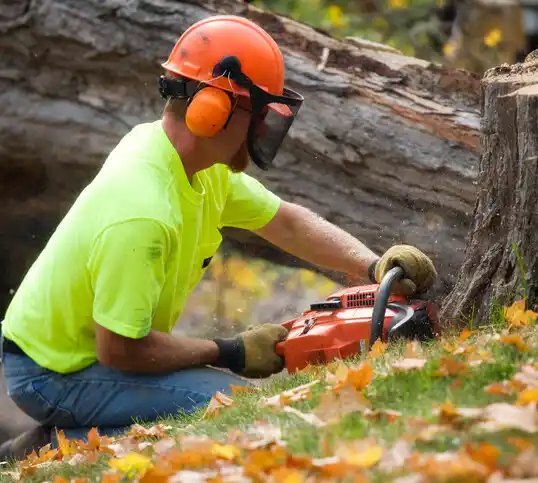 tree services Albion